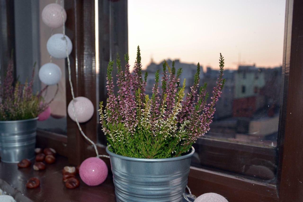 Apartament Bartolomeo Stary Toruń Εξωτερικό φωτογραφία